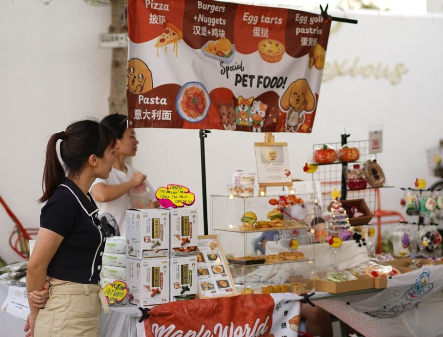 (古城第二版主文)【带你去找爱】:宠物市集的爱