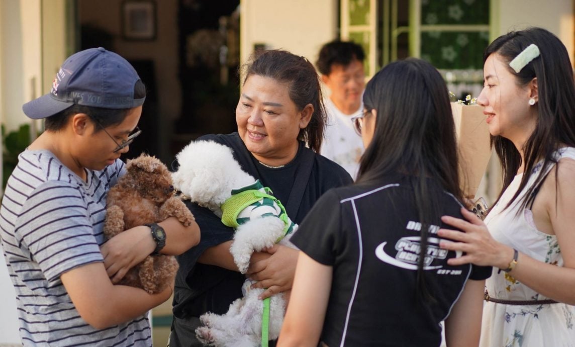 (古城第二版主文)【带你去找爱】:宠物市集的爱