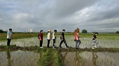 带你去找爱 | 踩泥巴 学插秧   学生体验“粒粒皆辛苦”