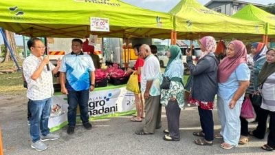 哥打拉沙马那昌明农业市集   一只鸡RM3 10分钟扫空