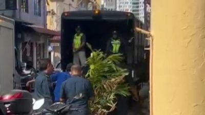 美化走廊花盆 须移走！ 执法员向违例业者开通告