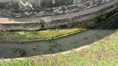 葛南格第三期花园沟塌 逢雨车房积水惹民怨