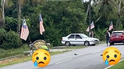 骑脚车被撞 2男童双双身亡