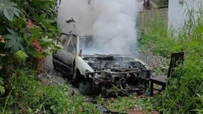 轿车在丛林起火   原因尚在调查中