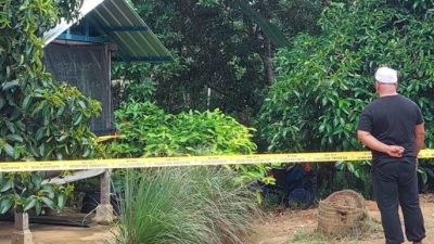 情绪低落一个月   胶工红毛丹树上吊