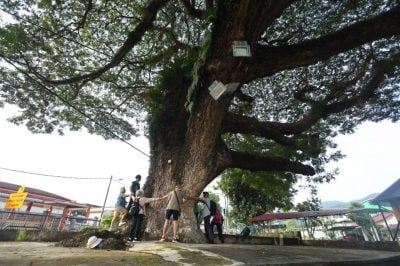 晨光里，重遇一座老社区的灵魂　在亚依淡“盲走”