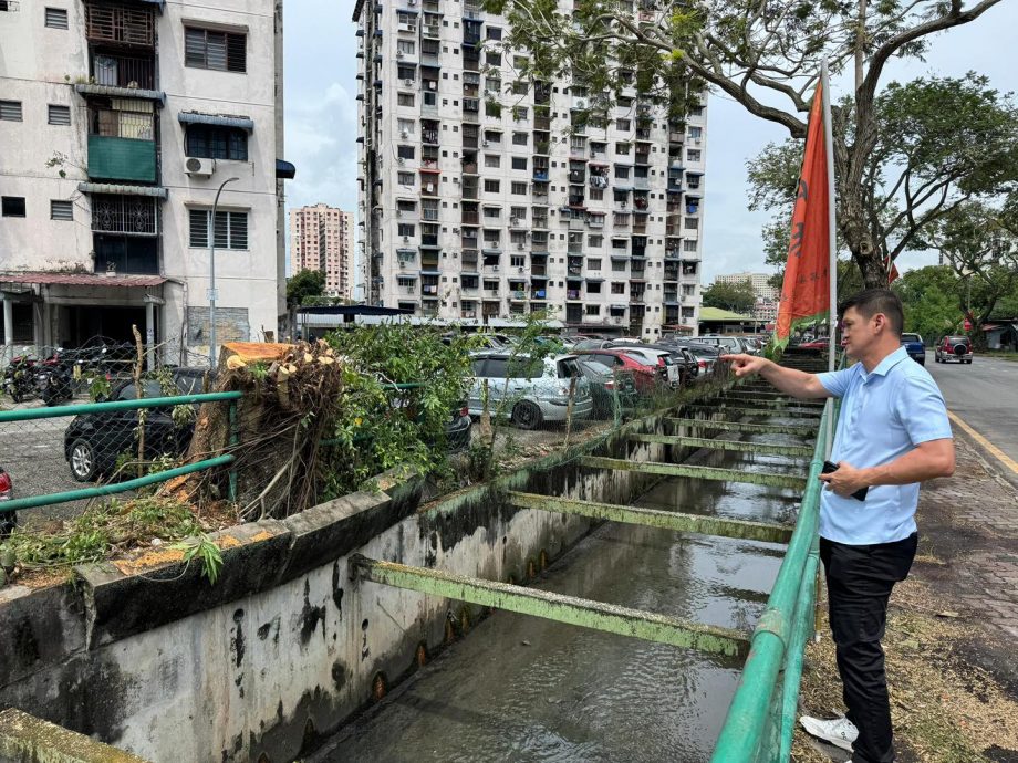 （大北马）峇都兰樟37棵树将被移除 避免雨季引灾害