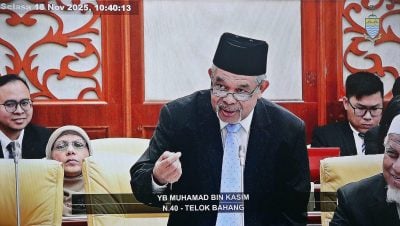 槟州议会 | 这条路叫做“晕头苍蝇路”  议员：这名字怎么来的？