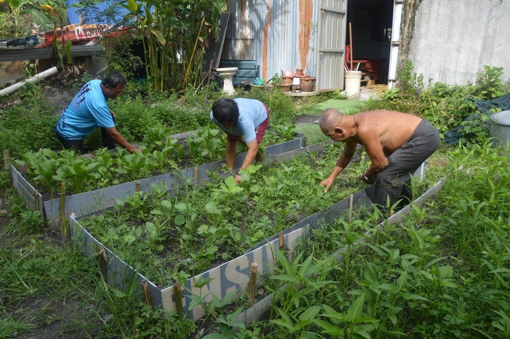 (大北马)红毛芭居民协会厨余堆肥计划