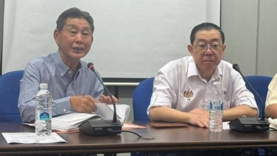 5533地段使用权事件引争议　林冠英促幸福园乡委会“撤权”