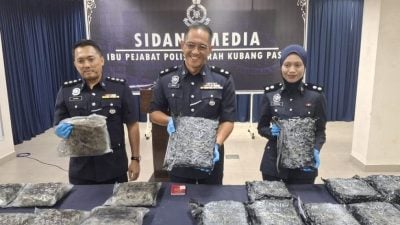 黑木山关卡把关严谨  运毒跑腿连第一层路障都过不了