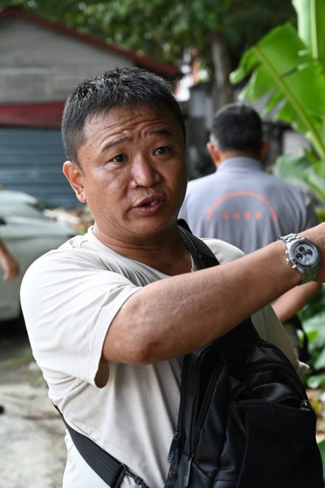 （大都会）林立迎有关老树课题／6图