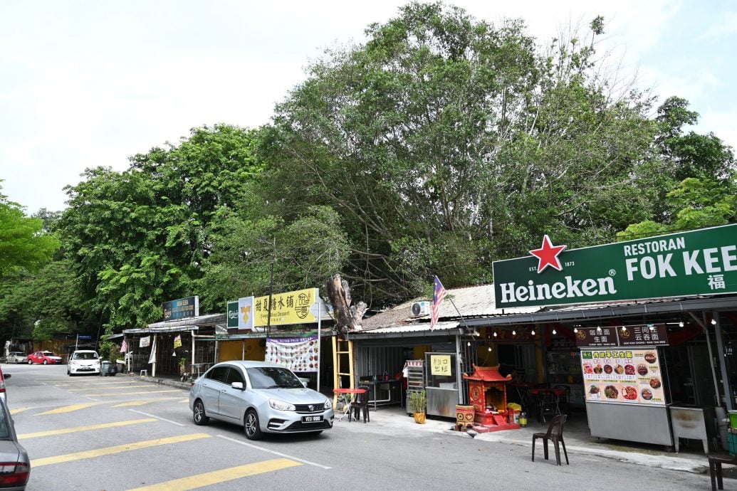 （大都会）林立迎有关老树课题／6图