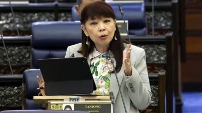 林慧英：提升透明合规   房地产迎数字转型