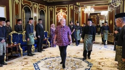 柔宫廷理事会和行政议会成员   觐见国家元首献上生日祝福