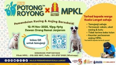 瓜冷市会推“宠物节育计划”   以期减少流浪动物数量