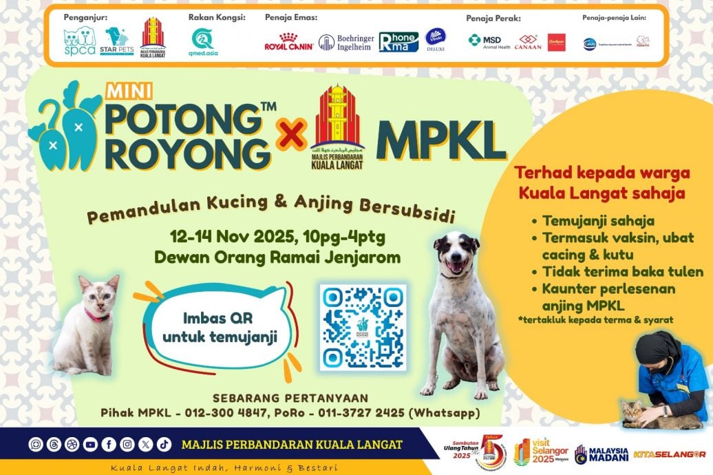 (已签发)大都会/瓜冷市议会为猫狗绝育文告