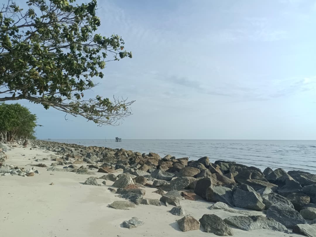 (已签发)柔:**封底**红桥海边迎来美化提升 打造露天饮食区吸引游客