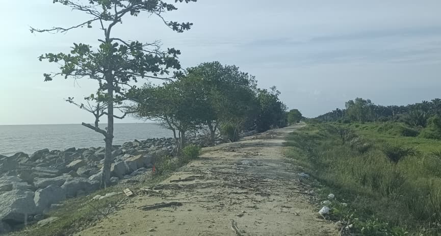 (已签发)柔:**封底**红桥海边迎来美化提升 打造露天饮食区吸引游客