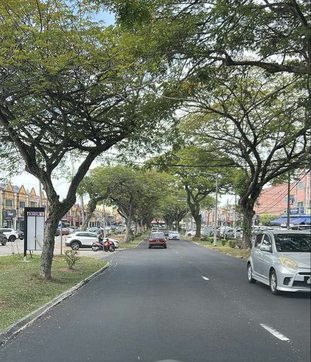 峇龙华道路重铺工程有瑕疵   承包商承诺尽快修复