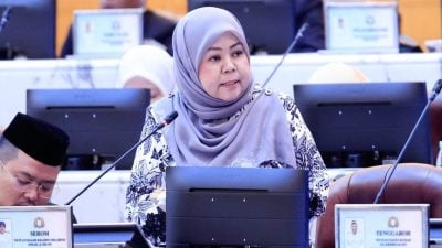 州议会丨凯琳妮莎：柔州加强多方合作   维护儿童情绪与心理健康