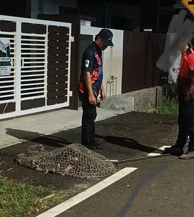 (已签发)柔:截至9月接72投诉 东甲县议会共捕109流浪狗