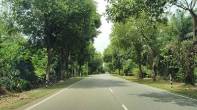 东甲新镇路段夺4命   县议会促当局提升安全措施