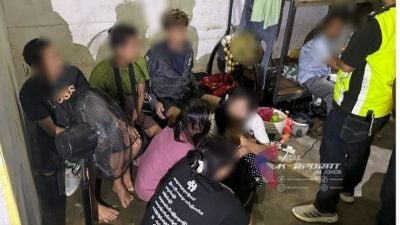 柔移民局突击楼房   逮捕74非法入境者