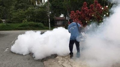 柔骨痛热症较上周降22.2%   增1死亡病例