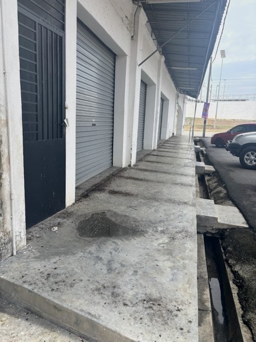 （已签发）柔：民生特工队：拉美士市区鸟群为患   吵杂声鸟粪扰民