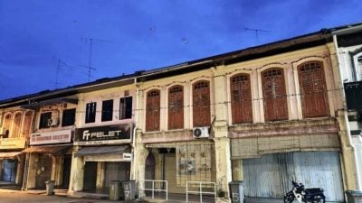 民生特工队 | 拉美士市区鸟群为患   吵杂声鸟粪扰民