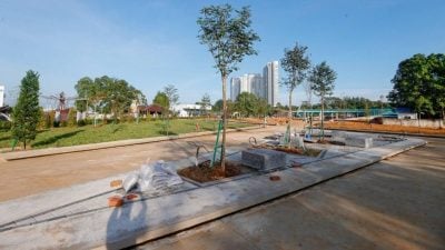 金海湾公共公园明年2月竣工   新山添新旅游景点