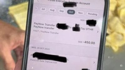 买4.5新元菜头粿误转450新元 摊贩吁食客转账前看清楚