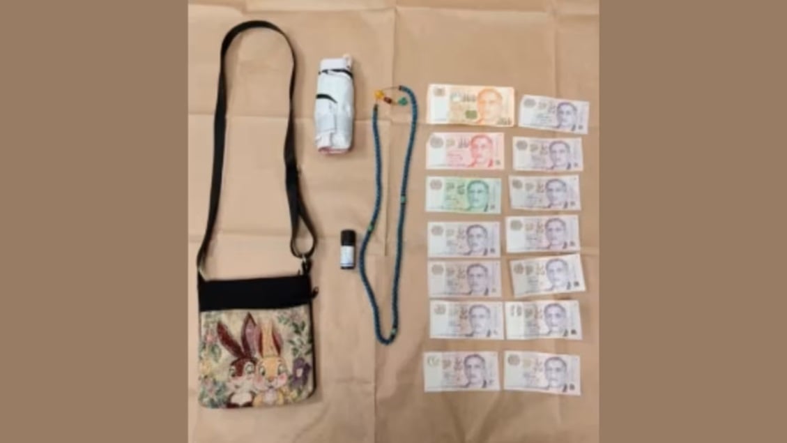 （已签发）柔：狮城二三事：女子勿洛遇掠夺受轻伤 狮城警方逮捕57岁嫌犯