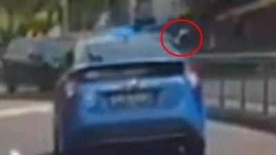 德士司机被指不让路竖中指 康福德高：调查后将采适当处分