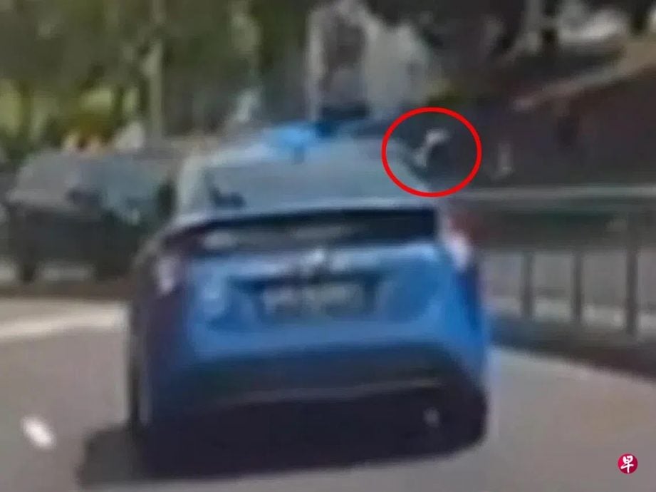 （已签发）柔：狮城二三事：德士司机被指不让路竖中指 康福德高：调查后将采适当处分