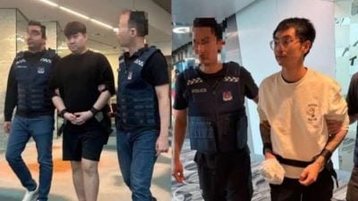 涉参与跨国诈骗团伙 2狮城男从柬泰遣返面控