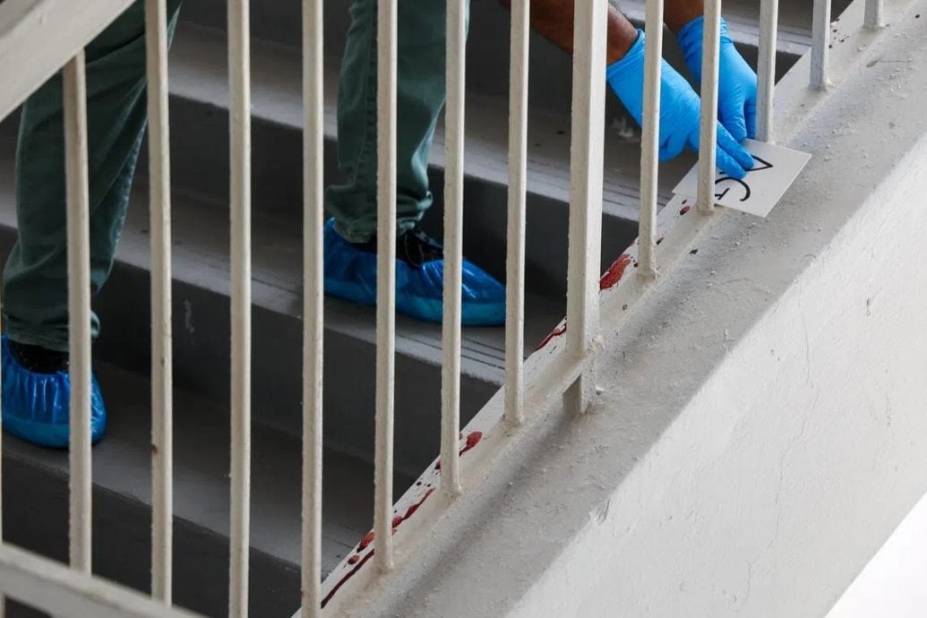 （已签发）柔：狮城二三事：涉牛车水振瑞路谋杀案 2男嫌凶被控