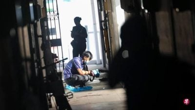 涉牛车水振瑞路谋杀案 2嫌凶被控共谋谋杀