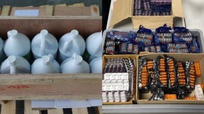 狮城破获两起涉非法走私药物行动 市价逾13万