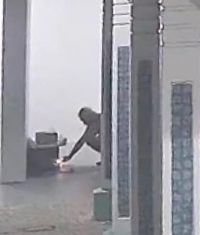 （已签发）柔：狮城二三事：疑不满居民喂猫 阿叔涉2度烧猫屋