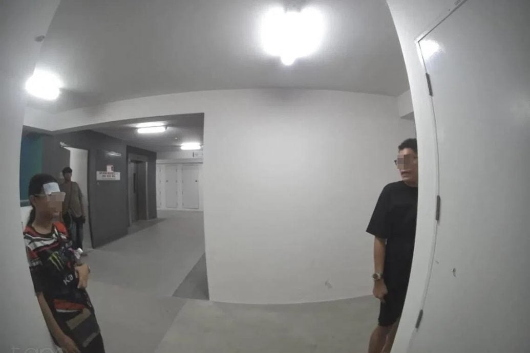 (已签发)柔:狮城二三事:网购亲子装送到家 三陌生人偷走包裹