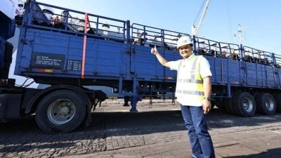 首批1000头乳牛   运抵三板头牛乳谷综合园区