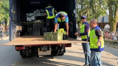 麻市会展开取缔   5业者被开罚单