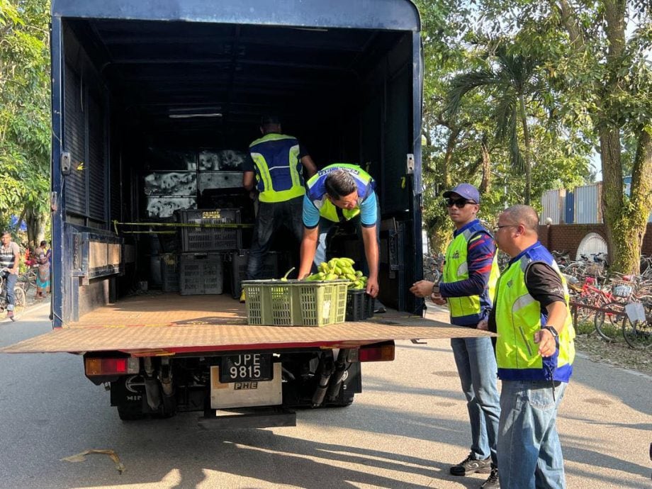 (已签发)柔:麻市会展开取缔 5业者被开罚单