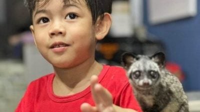 帮孩子摆脱电子产品   给他有生命的朋友 而非靠电池的朋友