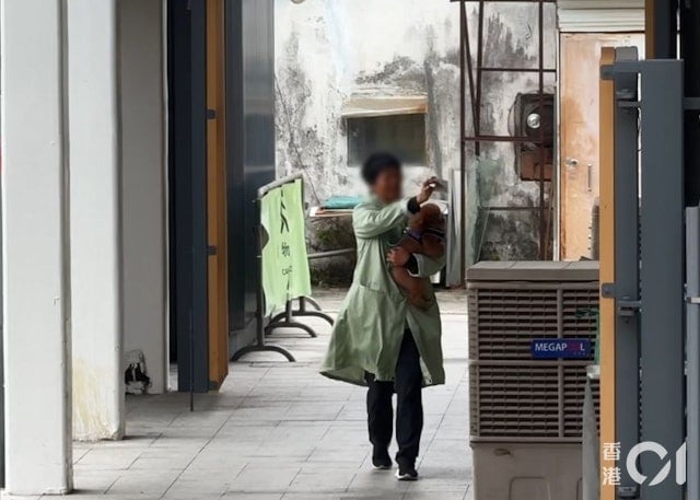 （网闻）解构中英街走私宠物产业链　深港三关卡全无截查