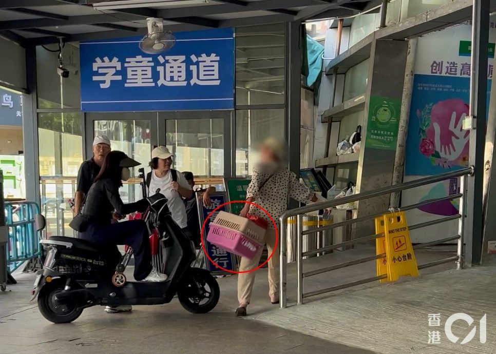 （网闻）解构中英街走私宠物产业链　深港三关卡全无截查