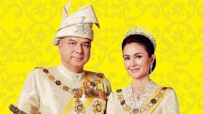 霹苏丹册封238人   陈堂杰杜依蔚受封PPT