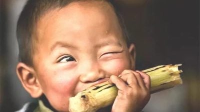 李系德／铁齿铜牙 咬蔗皮嚼蔗汁吐蔗渣